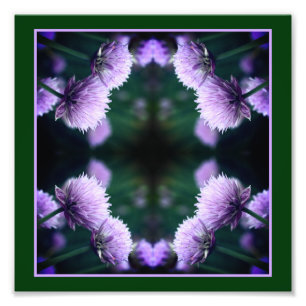 Blühende Lila Scallionzwiebel Abstrakt 8x8 Fotodruck