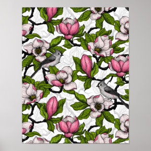 Blühende Magnolie und Titmausvogel Poster