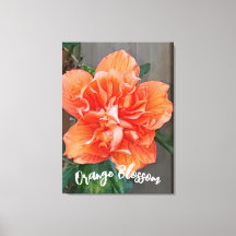 Blühende Orangenwerbung