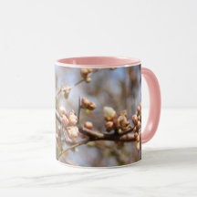 Blühende Orchard-Rosa Apfelbaum-Tasse