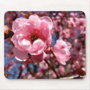 Blühende Pflaume Mousepad