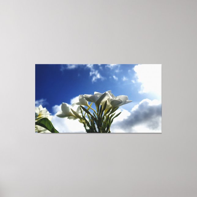 Blühende Plumeria gegen einen strahlenden Himmel Leinwanddruck (Vorderseite)