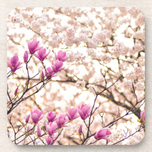 Blühende rosa Lila Magnolias-Frühlingsszene Blume Getränkeuntersetzer