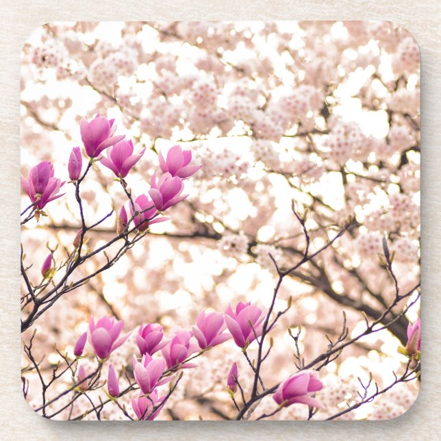Blühende rosa Lila Magnolias-Frühlingsszene Blume Getränkeuntersetzer (Vorderseite)