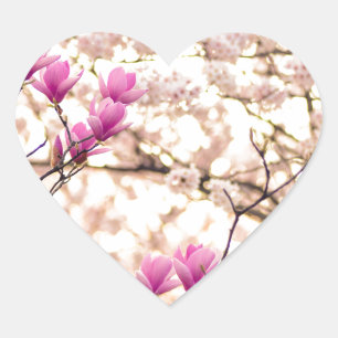 Blühende rosa Lila Magnolias-Frühlingsszene Blume Herz-Aufkleber