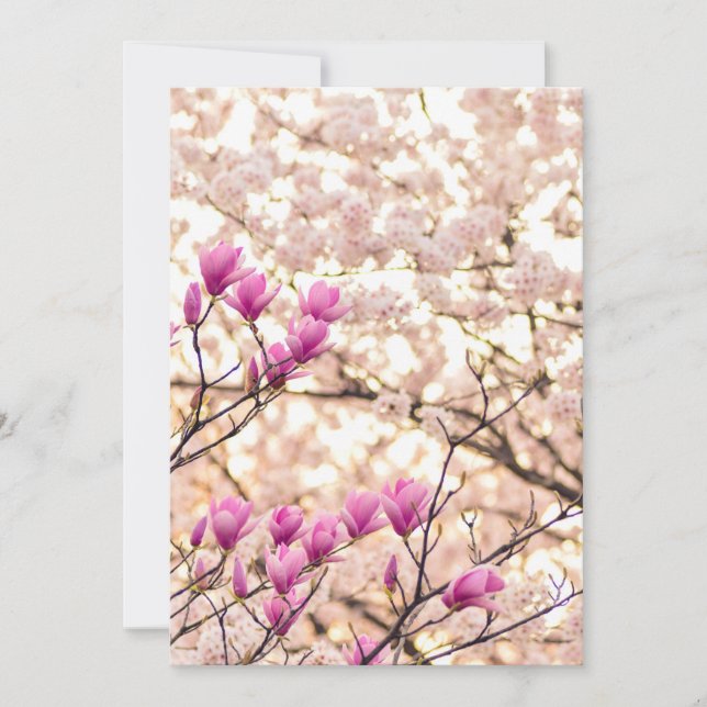 Blühende rosa Lila Magnolias-Frühlingsszene Blume Karte (Vorderseite)