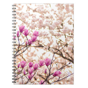 Blühende rosa Lila Magnolias-Frühlingsszene Blume Notizblock