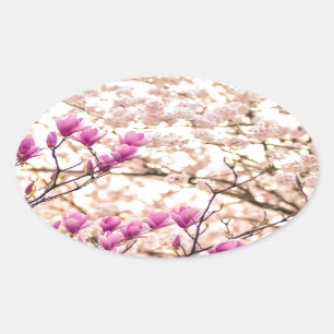 Blühende rosa Lila Magnolias-Frühlingsszene Blume Ovaler Aufkleber