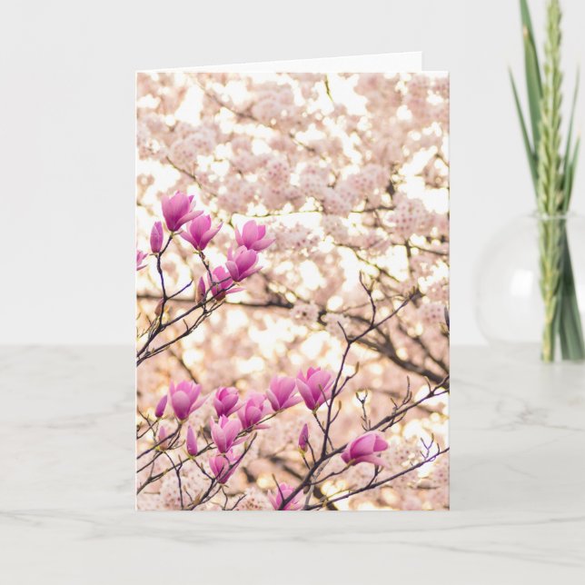 Blühende rosa lila Magnolien-Frühlings-Blume Karte (Vorderseite)