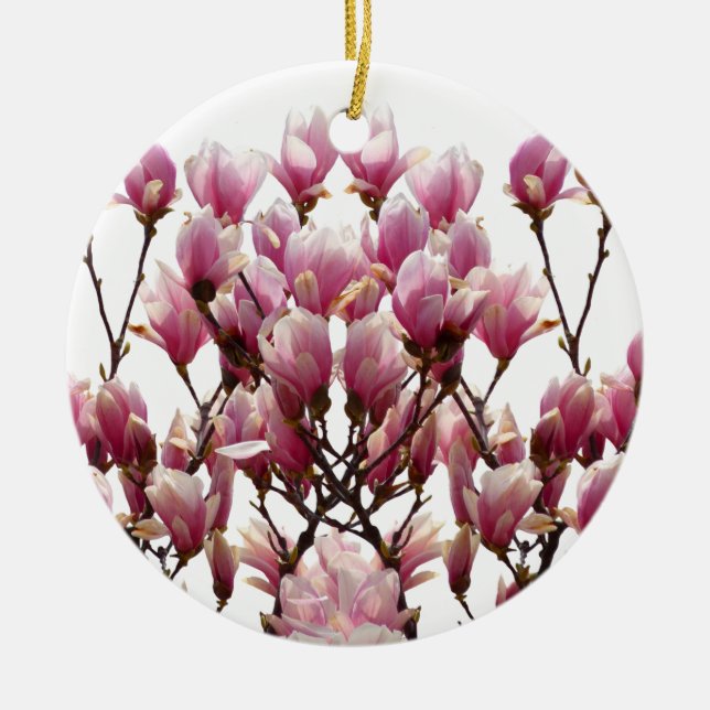 Blühende rosa Magnolias-Frühlingsstimmung in der B Keramikornament (Vorne)