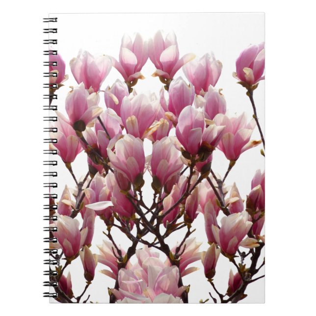 Blühende rosa Magnolias-Frühlingsstimmung in der B Notizblock (Vorderseite)