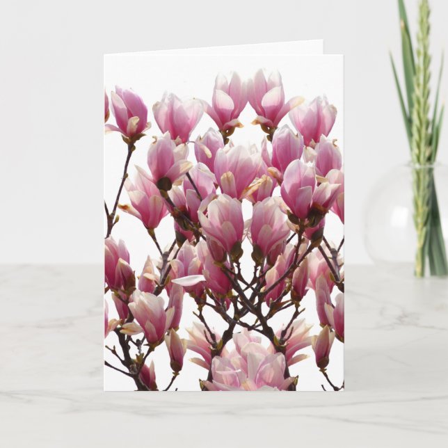 Blühende rosa Magnolien-Frühlings-Blume Karte (Vorderseite)