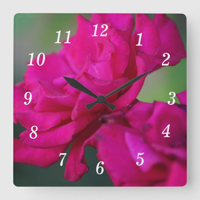 Blühende rosa Rosenhalterung Quadratische Wanduhr (Vorderseite)