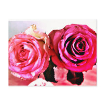 Blühende Rose