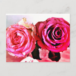 Blühende Rose Einladungspostkarte