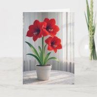 Blühende rote Amaryllis zum Geburtstag