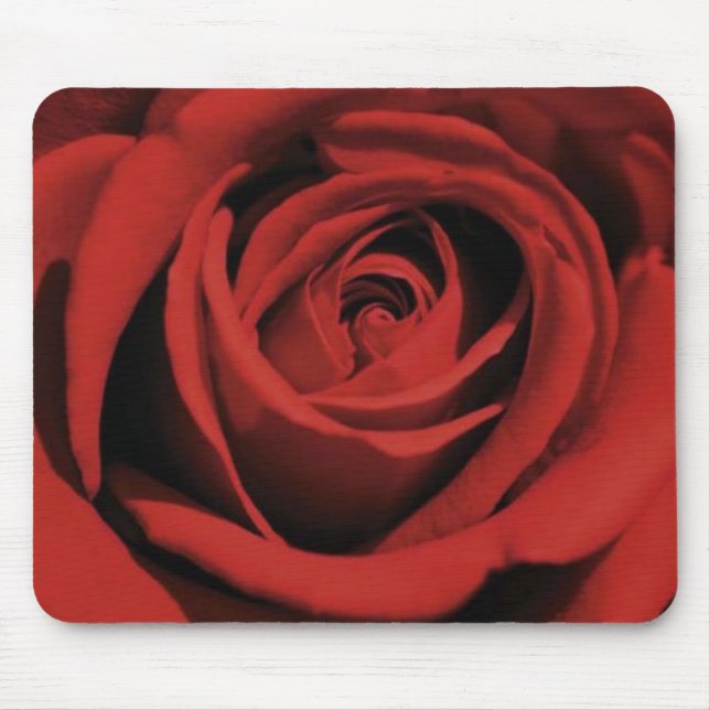 Blühende Rote Rose Mousepad (Vorne)