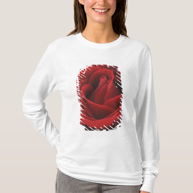 Blühende Rote Rose T-Shirt (Vorderseite)