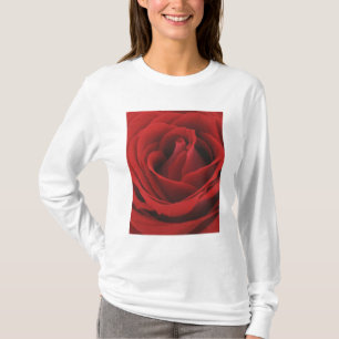 Blühende Rote Rose T-Shirt