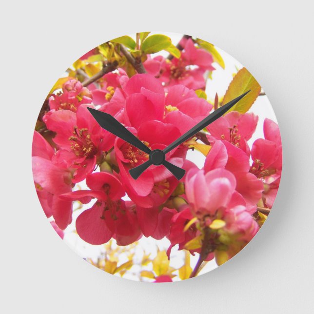 Blühende Ruhe in Japan Rosa Frühlingsblumen Shrub Runde Wanduhr (Vorderseite)