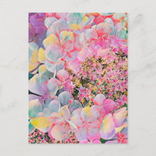 Blühende Sommer-Hydrangea-Blume Feiertagspostkarte