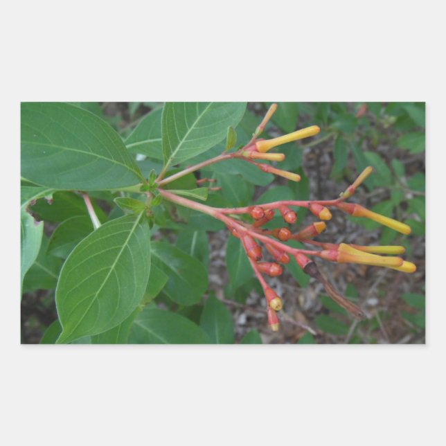 Blühende tropische Blume Rechteckiger Aufkleber (Vorderseite)