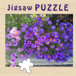 Blühende violette Flieder-Ästhetik Blumen Foto