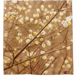 Blühende Weidenzweige im Frühling, saisonal v Duschvorhang