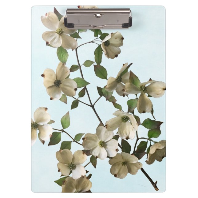 Blühende weiße Dogwood-Blume Klemmbrett (Vorderseite)