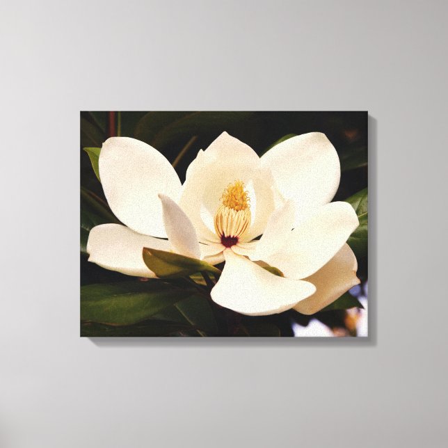 Blühende weiße Magnolia gesteppte Leinwand Print (Vorderseite)