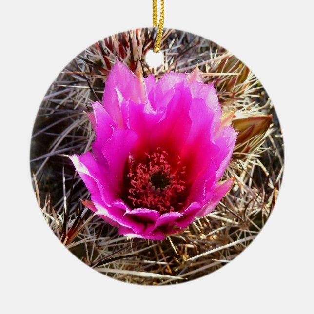 Blühende Wildblume Kaktus (Prickly Birne) Keramik Ornament (Vorne)