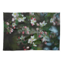 Blühender Apfelbaum, launischer Frühling
