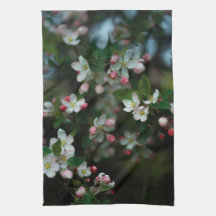 Blühender Apfelbaum, launischer Frühling