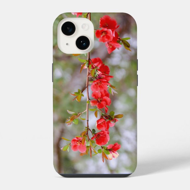 Blühender Frühling iPhone 14 Hülle (Rückseite)