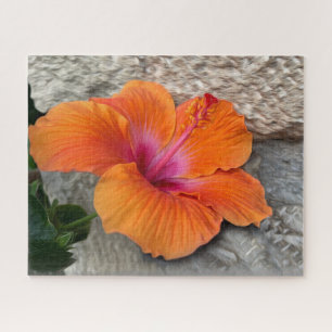 blühender Hibiskus
