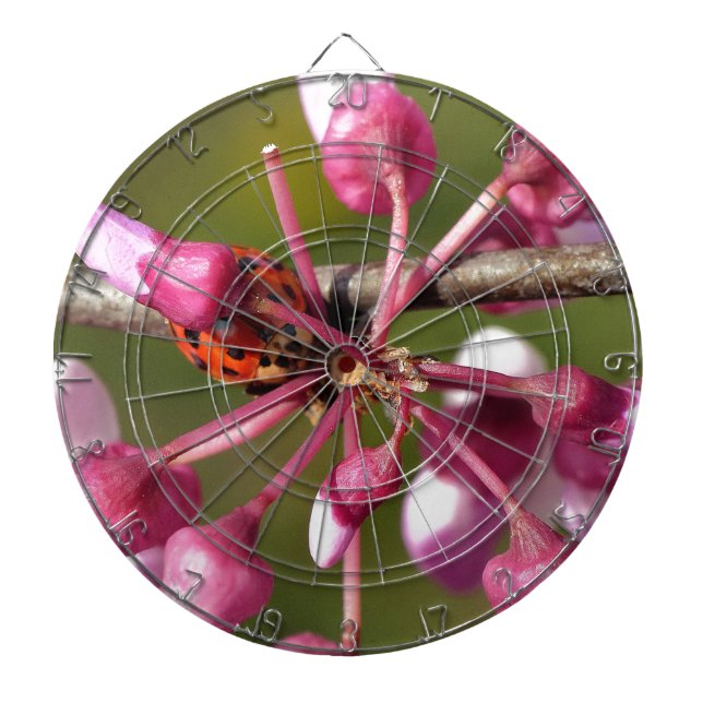 Blühender Redbug mit Ladybug Dartscheibe (vorne)