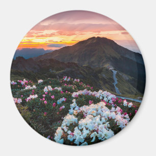 Blühender   Taroko Nationalpark des Rhododendron- Magnet