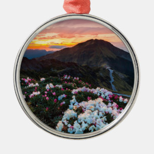 Blühender   Taroko Nationalpark des Rhododendron- Ornament Aus Metall