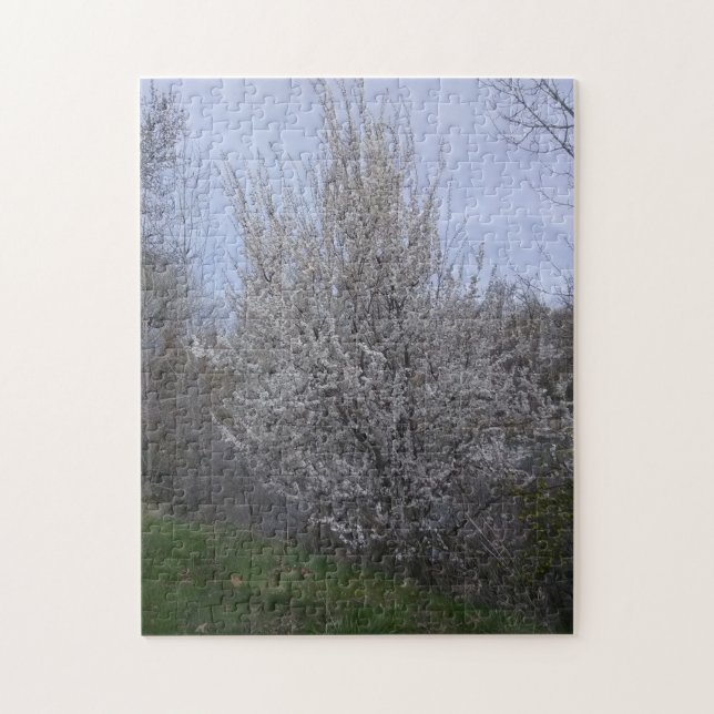 blühender weißer Baum auf dem Fluss Boise (Vertikal)