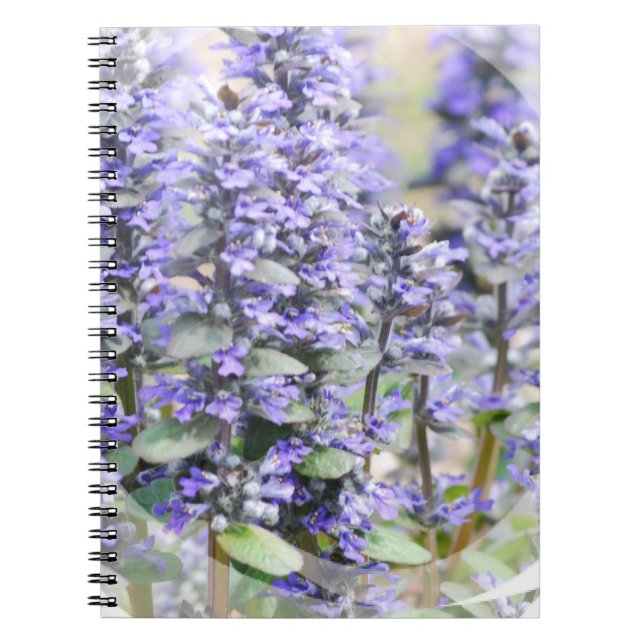 Blühendes Ajuga-Notizbuch Notizblock (Vorderseite)