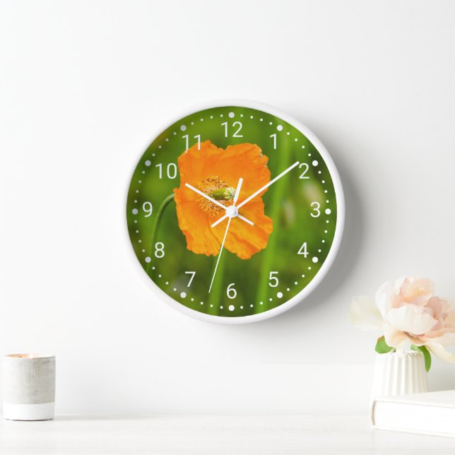 Blühendes Orangenmohn-Blume-Foto auf Grün Uhr (Zuhause)