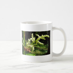 Blühendes Rhubarb Stalks Naturschutzgebiet Foto Kaffeetasse