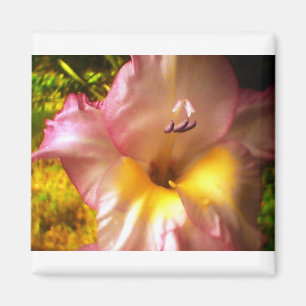 Blühendes Rosa Blume Magnet