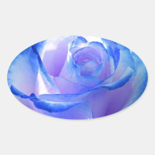 blüht Reben Blütenblume Rosen Blumen Blume blau Li Ovaler Aufkleber
