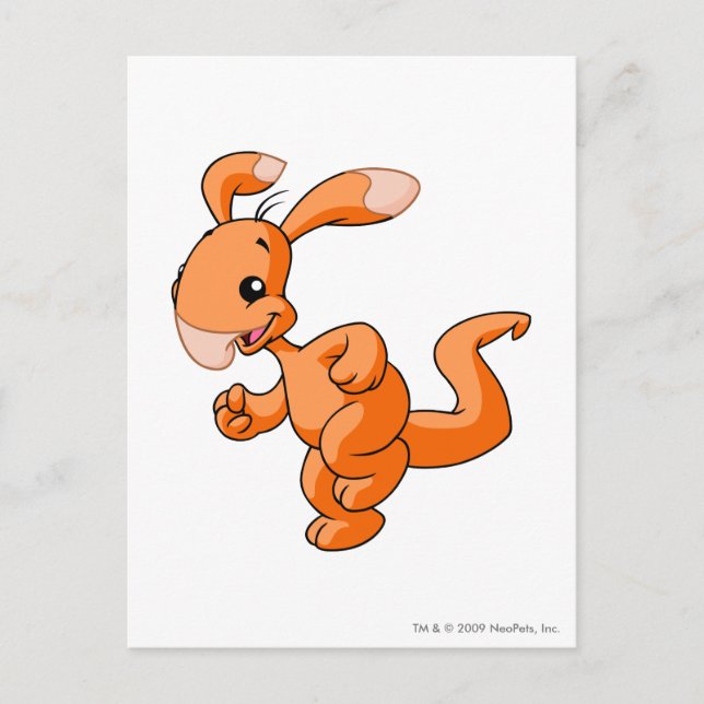 Blumaroo Orange Postkarte (Vorderseite)