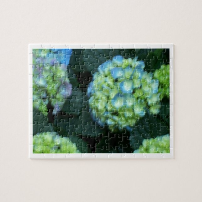 Blume (Horizontal)