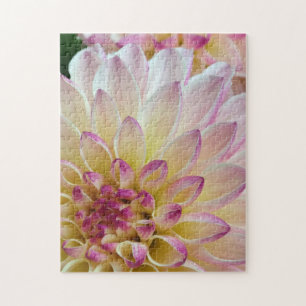 Blume
