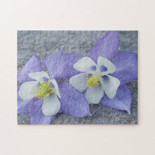 Blume