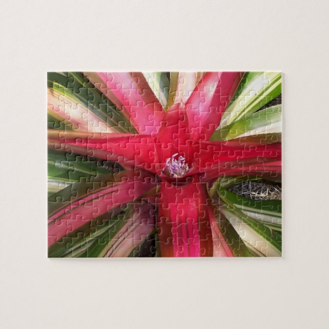Blume (Horizontal)