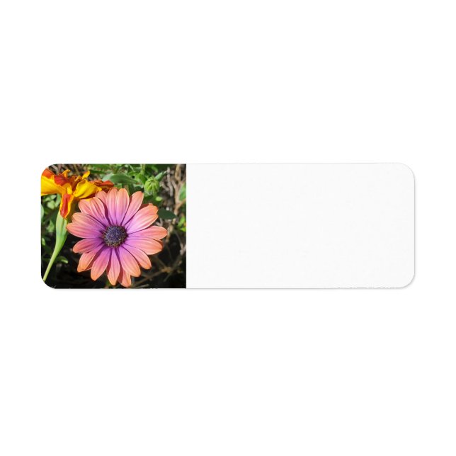 Blume (Vorne)